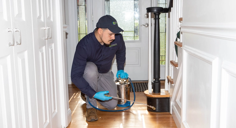 A ProSource Pest tech applies a pest prevention program at a home in Cheshire, CT