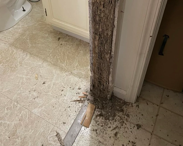 Termite damage to a bathroom floor board in West Hartford, CT